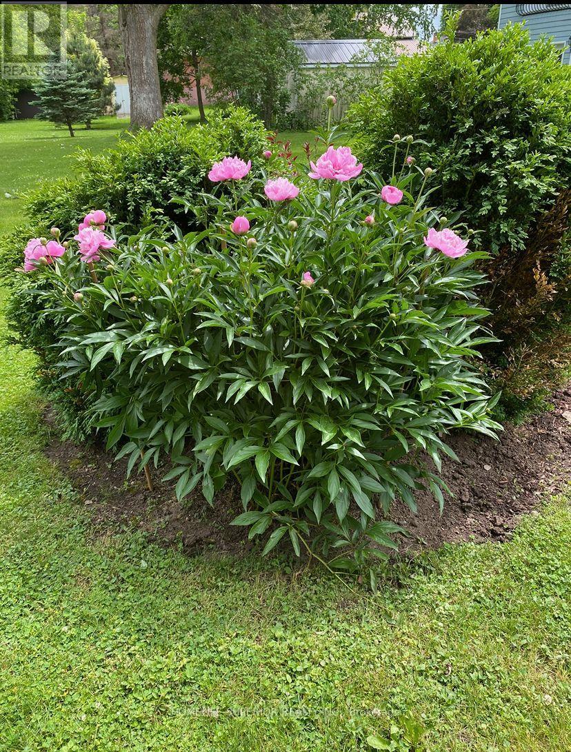 35 Nelson Street, Centre Hastings, Ontario  K0K 2K0 - Photo 43 - X12875182