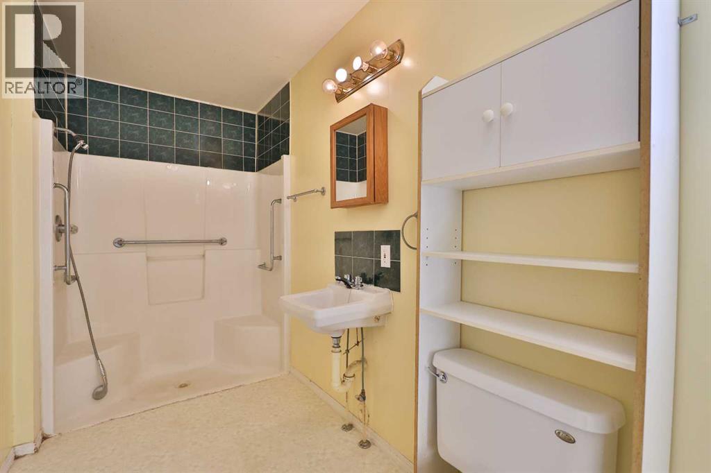 221 N 250 E, Raymond, Alberta  T0K 2S0 - Photo 29 - A2292231