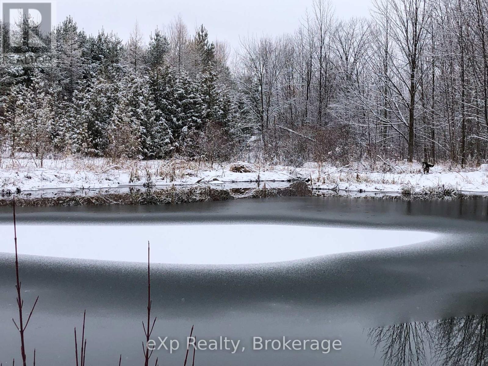 025667 Euphrasia - St.  Vincent Townline, Meaford, Ontario  N4L 1W6 - Photo 43 - X12876496