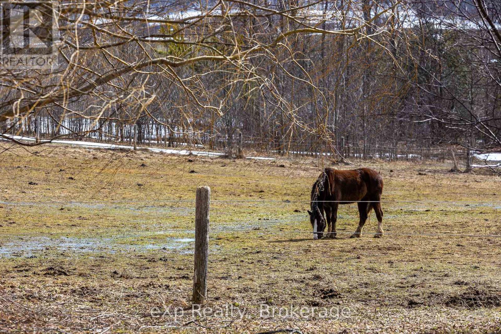 025667 Euphrasia - St.  Vincent Townline, Meaford, Ontario  N4L 1W6 - Photo 35 - X12876514