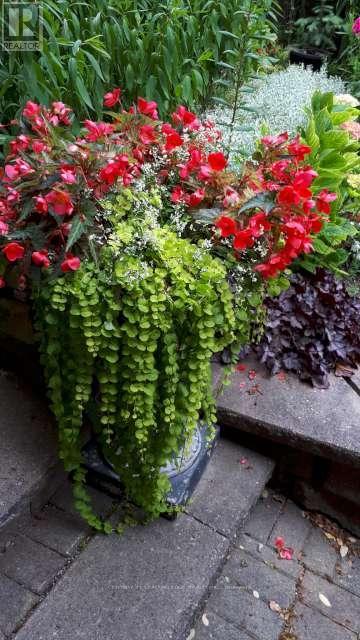 39 Deerford Road, Toronto, Ontario  M2J 3H9 - Photo 47 - C12876664