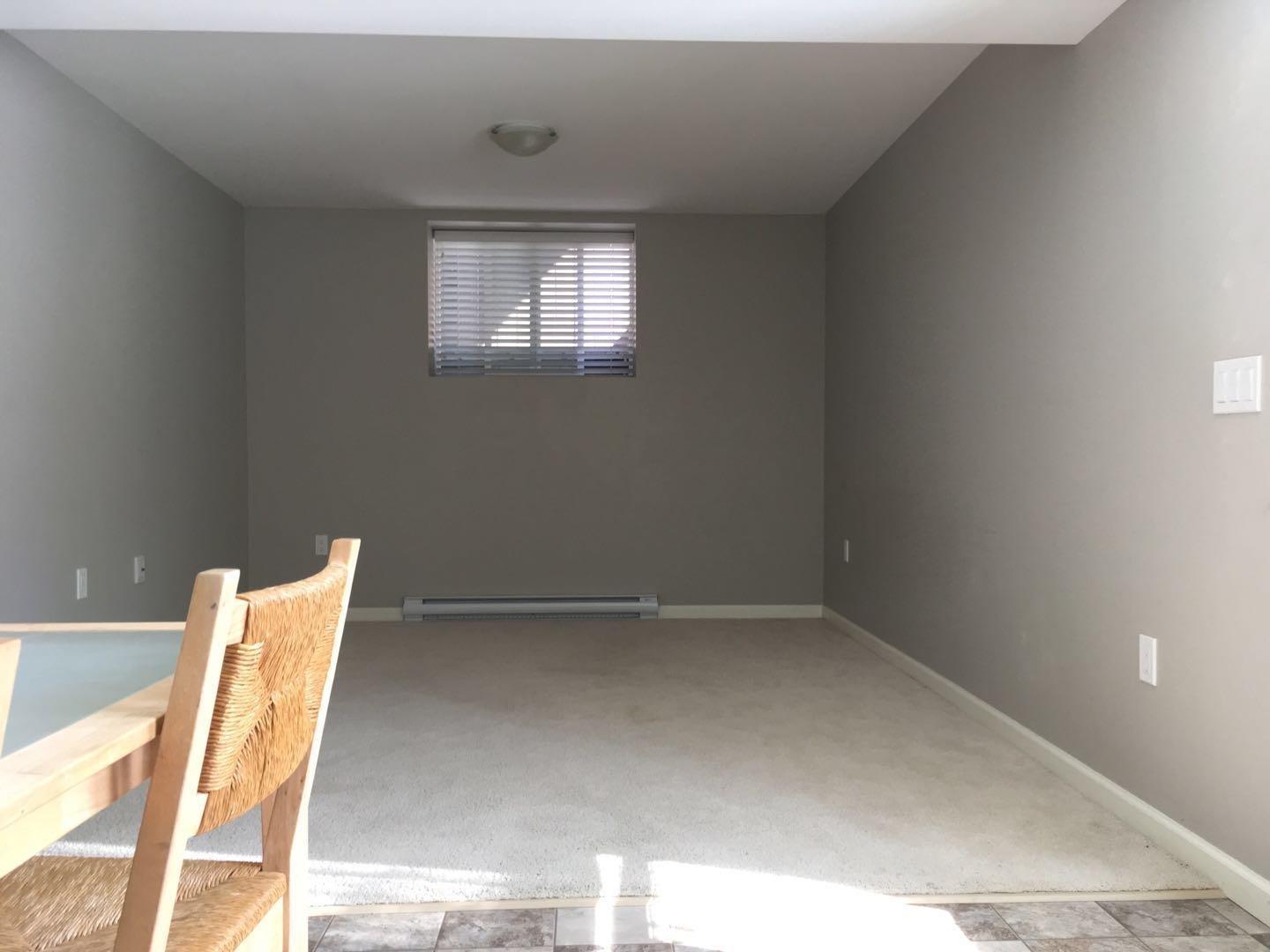 Basement 790x 211b Street, Langley, British Columbia  V2Y 0H3 - Photo 4 - R3099176