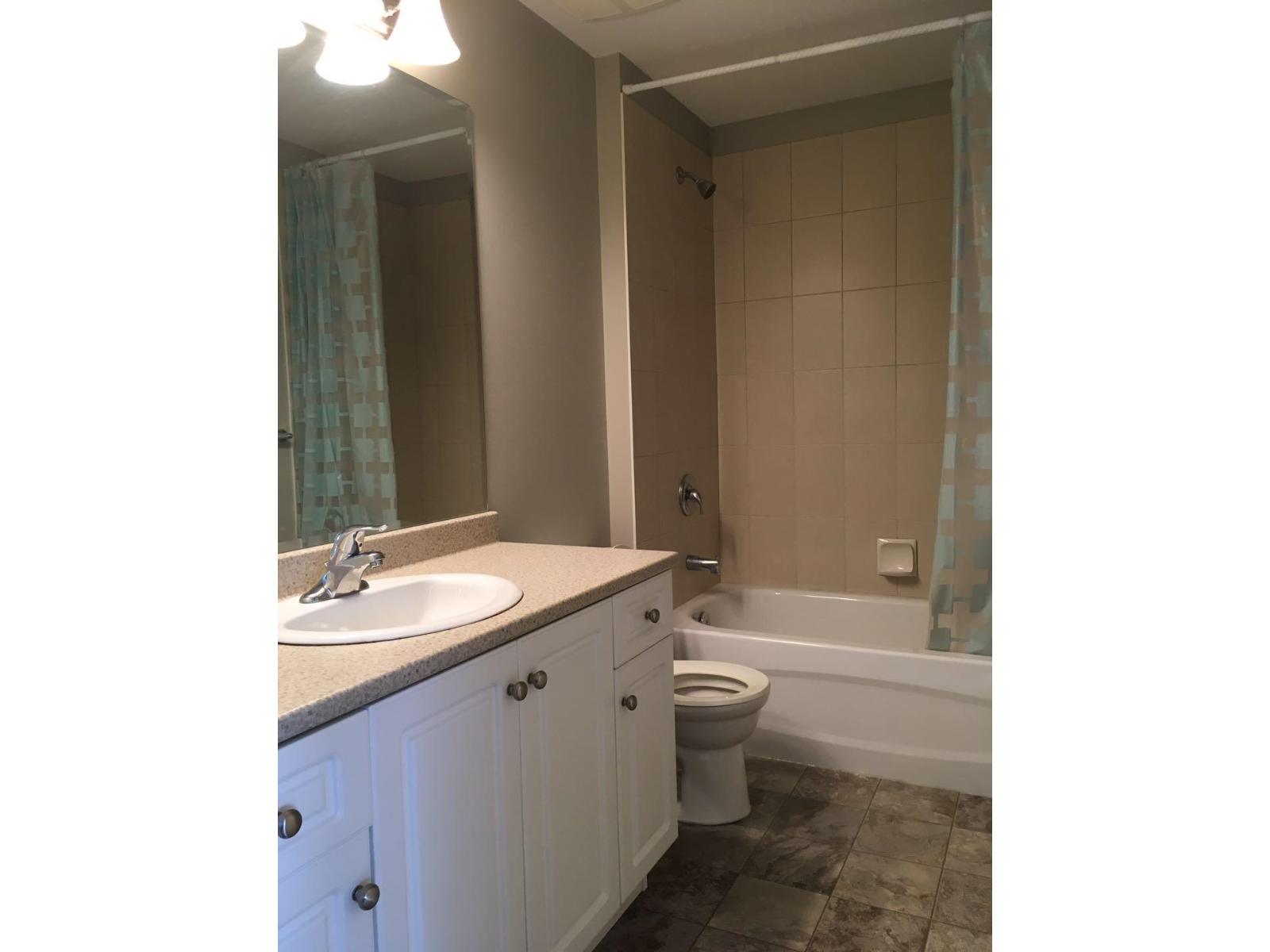 Basement 790x 211b Street, Langley, British Columbia  V2Y 0H3 - Photo 6 - R3099176