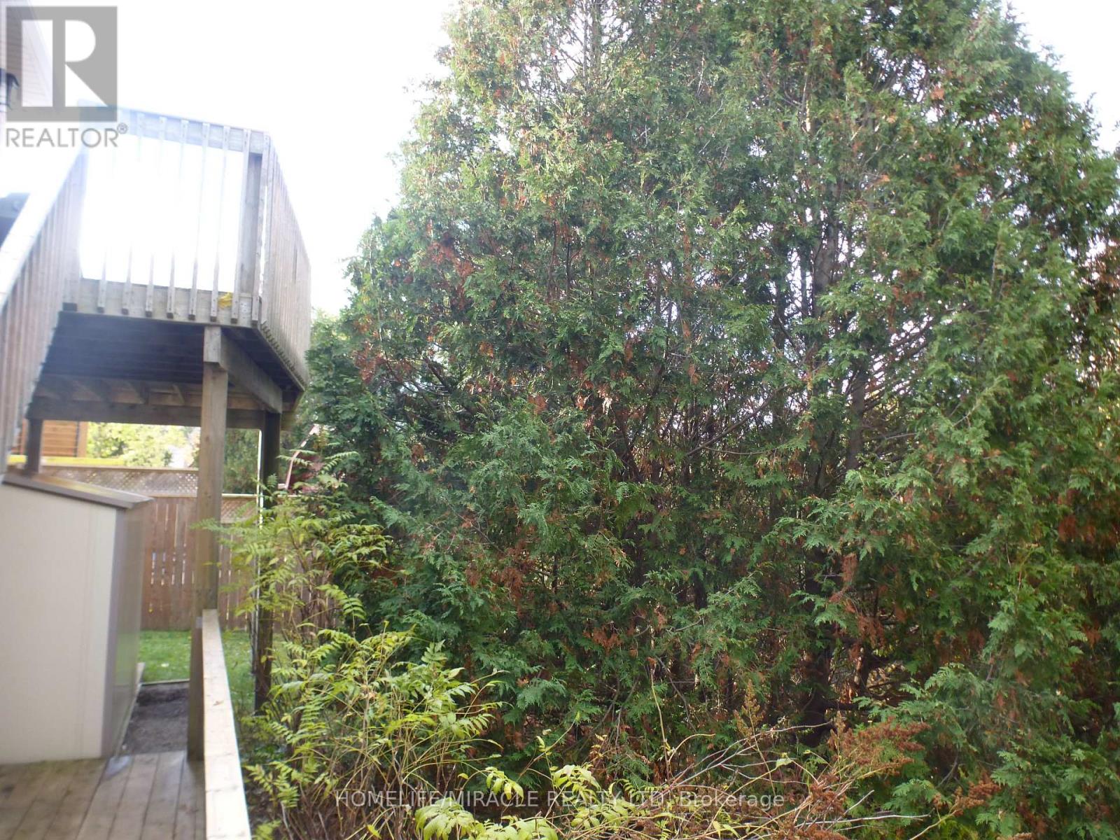 114 Glencliffe Court, Kitchener, Ontario  N2B 3X1 - Photo 43 - X12876612