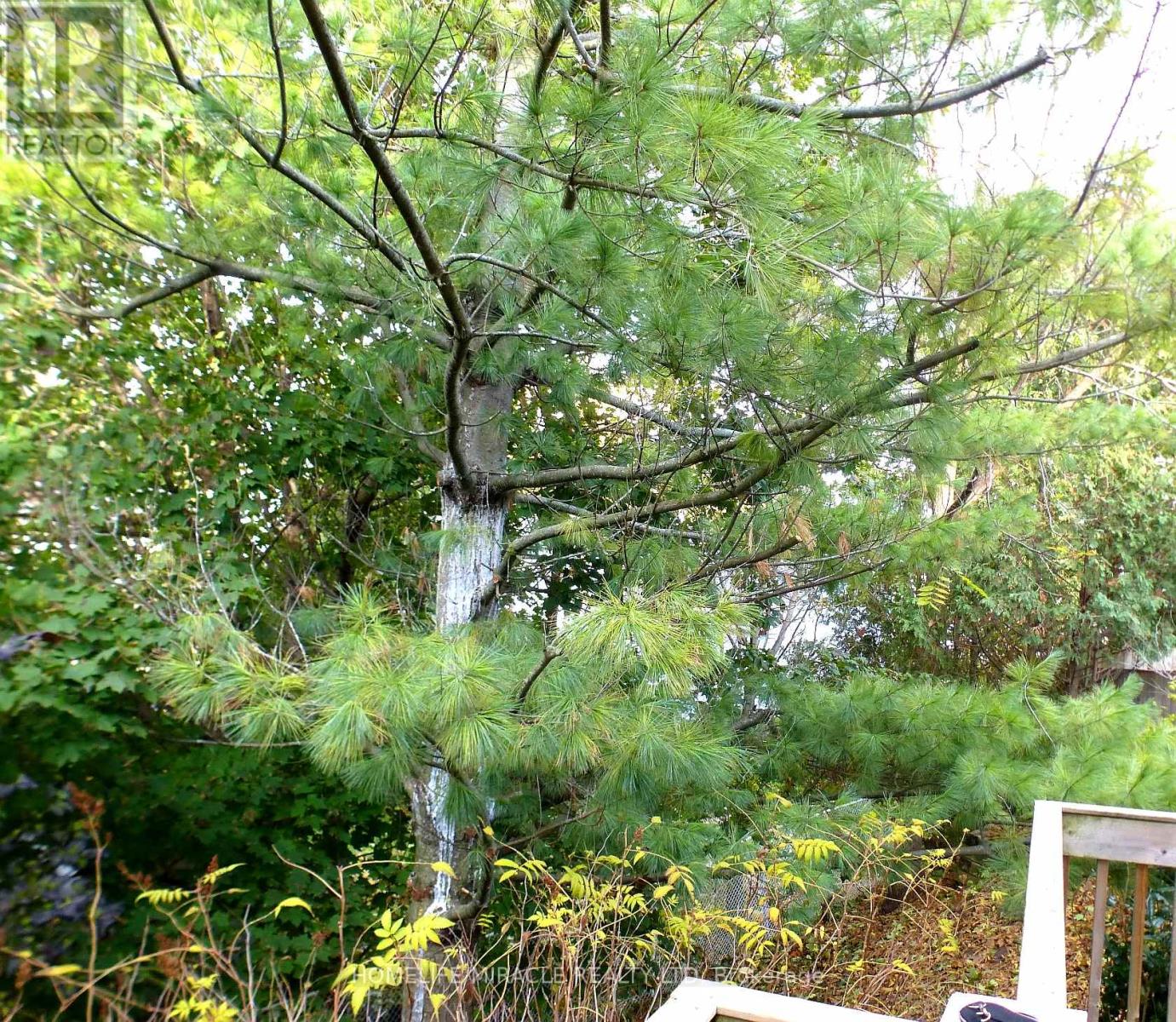 114 Glencliffe Court, Kitchener, Ontario  N2B 3X1 - Photo 44 - X12876612