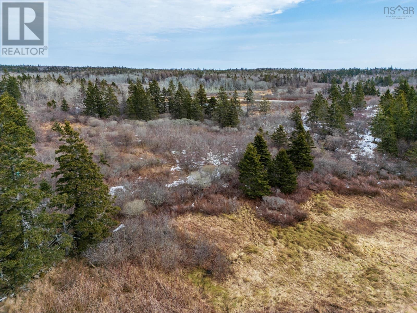 Highway 1, Beaver River, Nova Scotia  B5A 5A9 - Photo 14 - 202604442