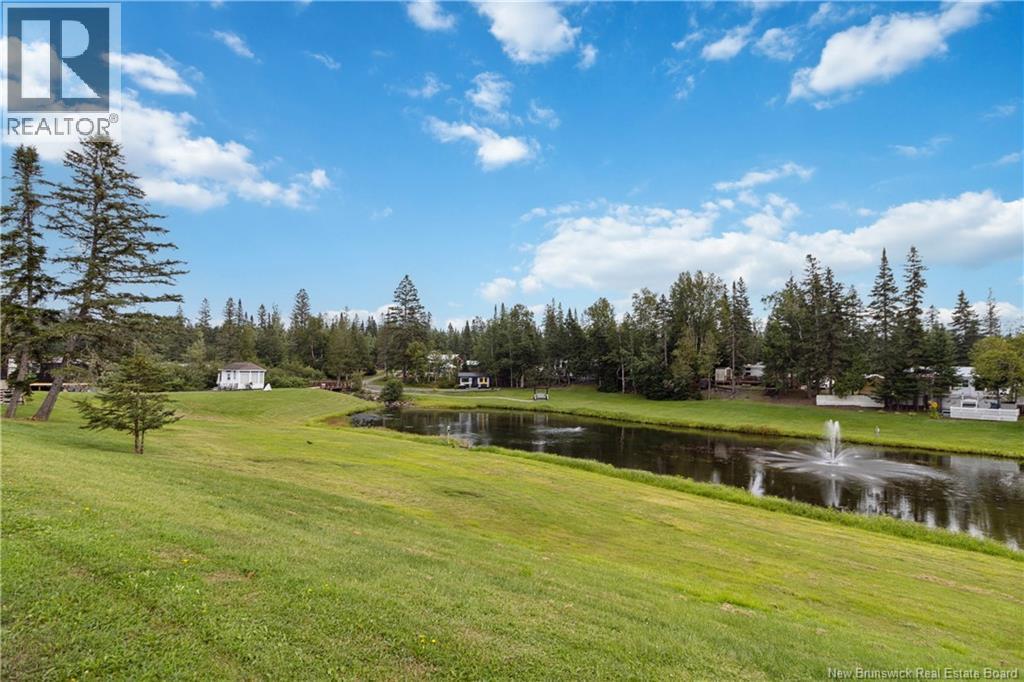 470 Route 17, Saint-Léonard, New Brunswick  E7E 2L7 - Photo 15 - NB134806