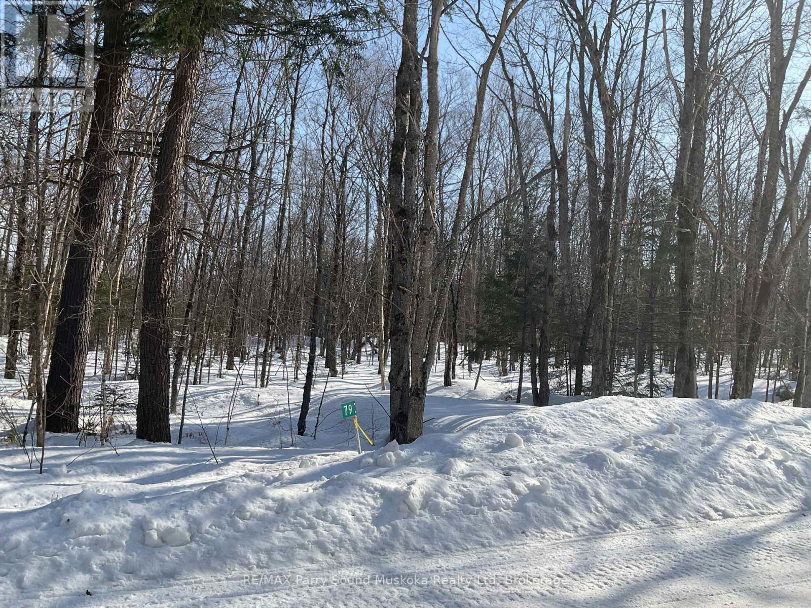 79 Pine Grove Road, Parry Sound Remote Area, Ontario  P0H 1S0 - Photo 2 - X12876764