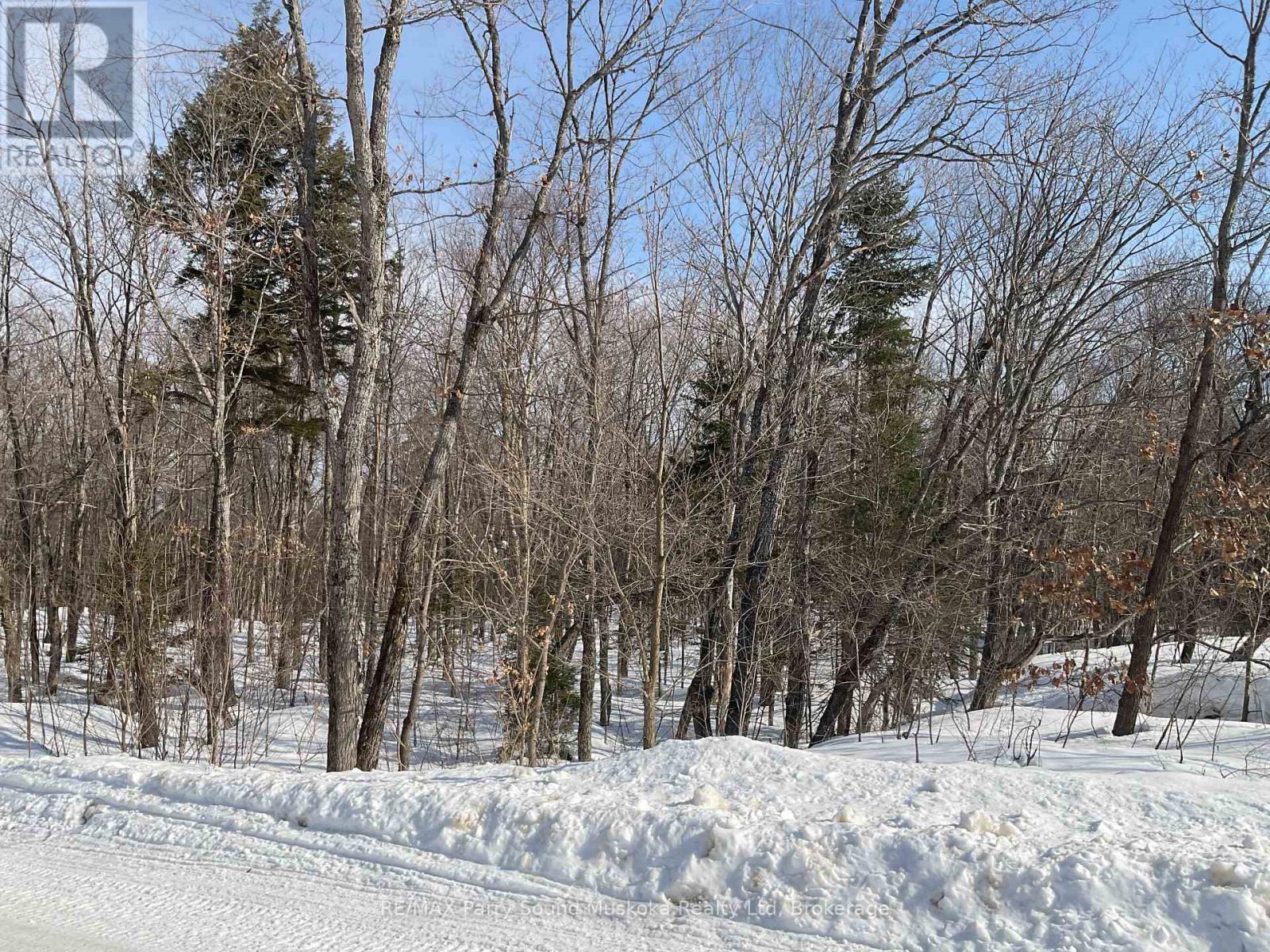 79 Pine Grove Road, Parry Sound Remote Area, Ontario  P0H 1S0 - Photo 4 - X12876764