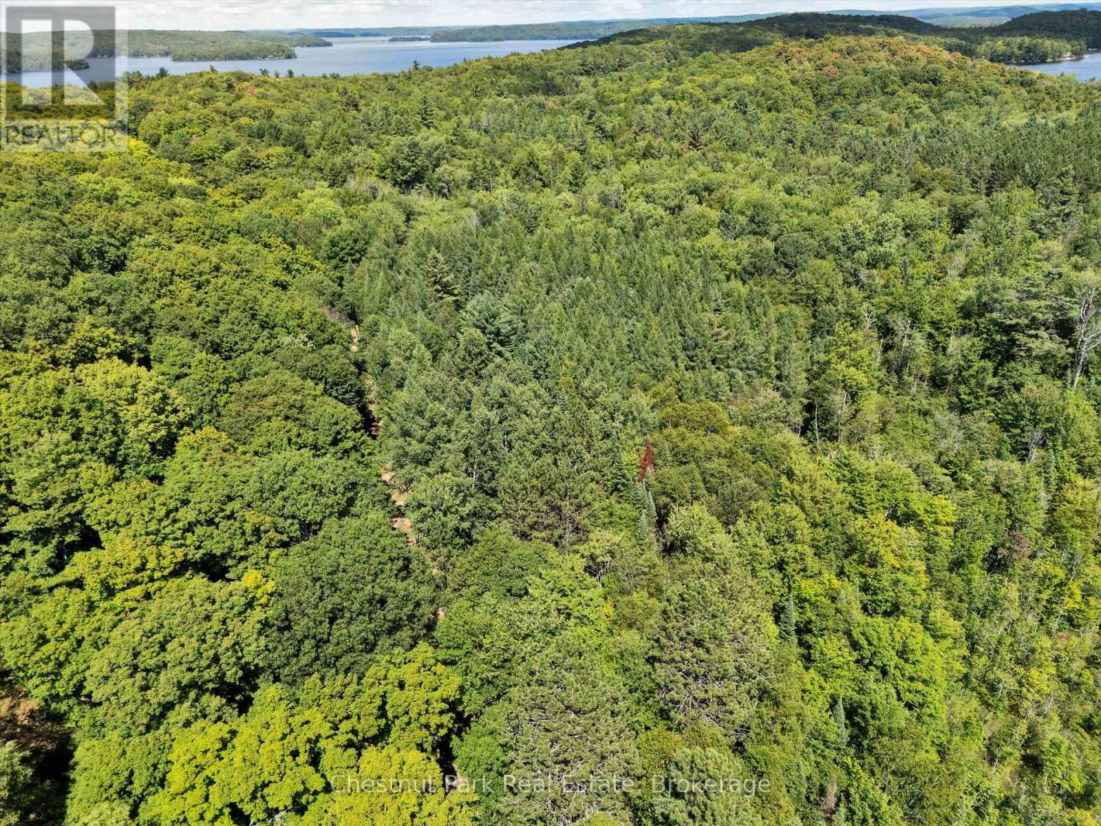 0 Nithgrove Road, Lake Of Bays, Ontario  P0B 1A0 - Photo 10 - X12876786