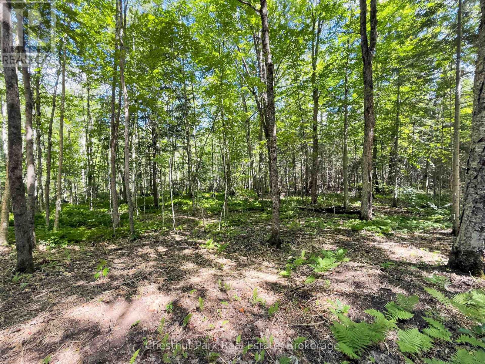 0 Nithgrove Road, Lake Of Bays, Ontario  P0B 1A0 - Photo 13 - X12876786