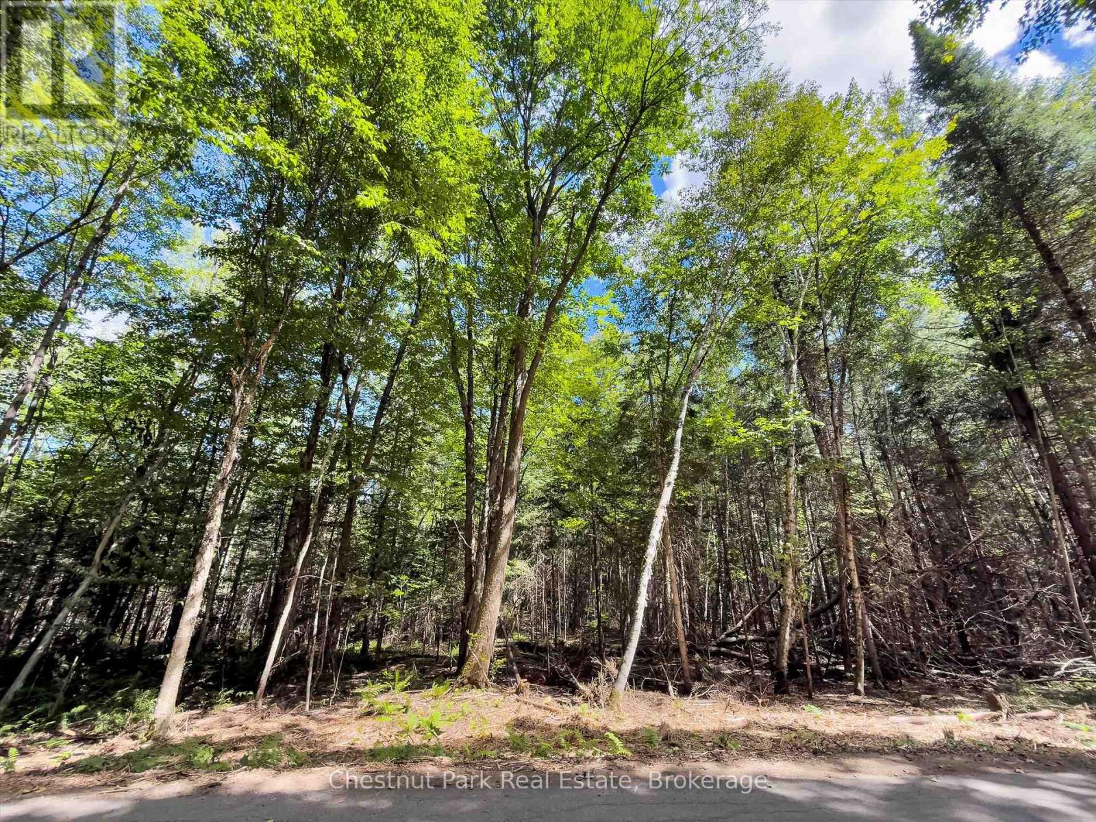 0 Nithgrove Road, Lake Of Bays, Ontario  P0B 1A0 - Photo 14 - X12876786