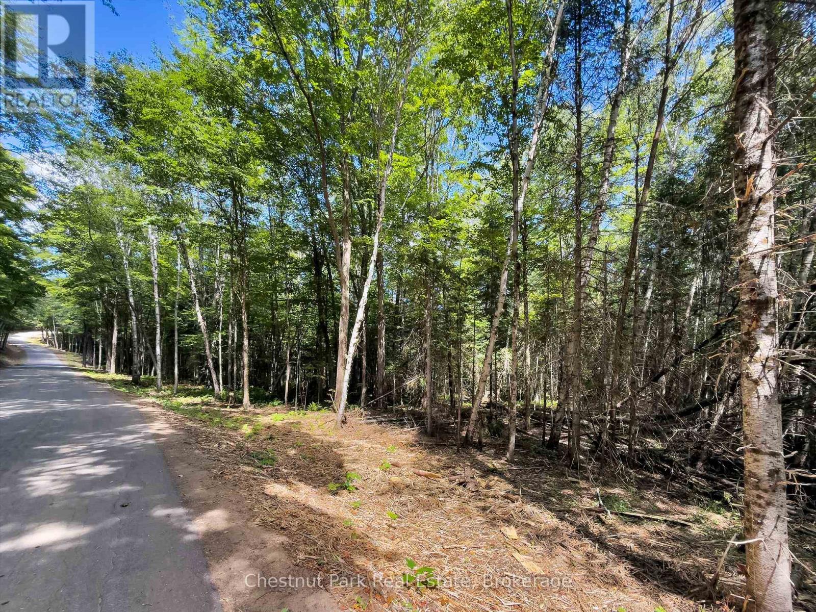 0 Nithgrove Road, Lake Of Bays, Ontario  P0B 1A0 - Photo 15 - X12876786