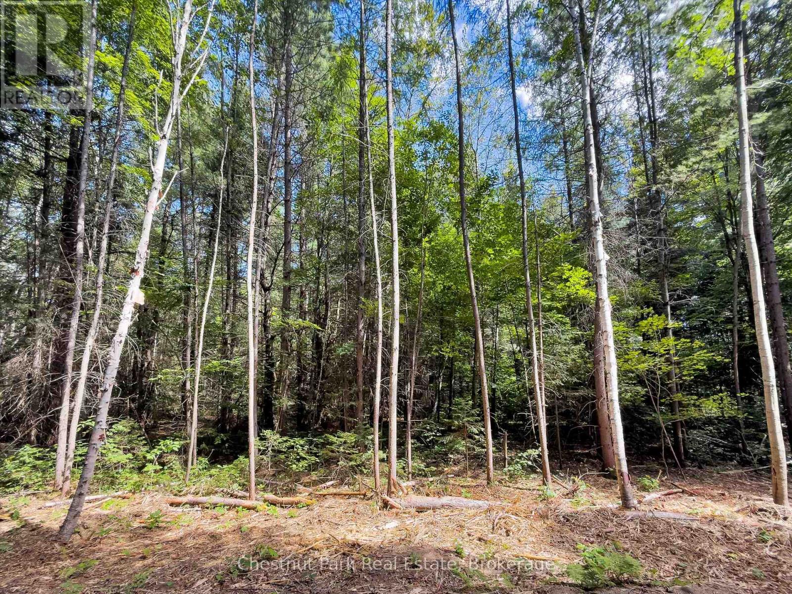 0 Nithgrove Road, Lake Of Bays, Ontario  P0B 1A0 - Photo 16 - X12876786