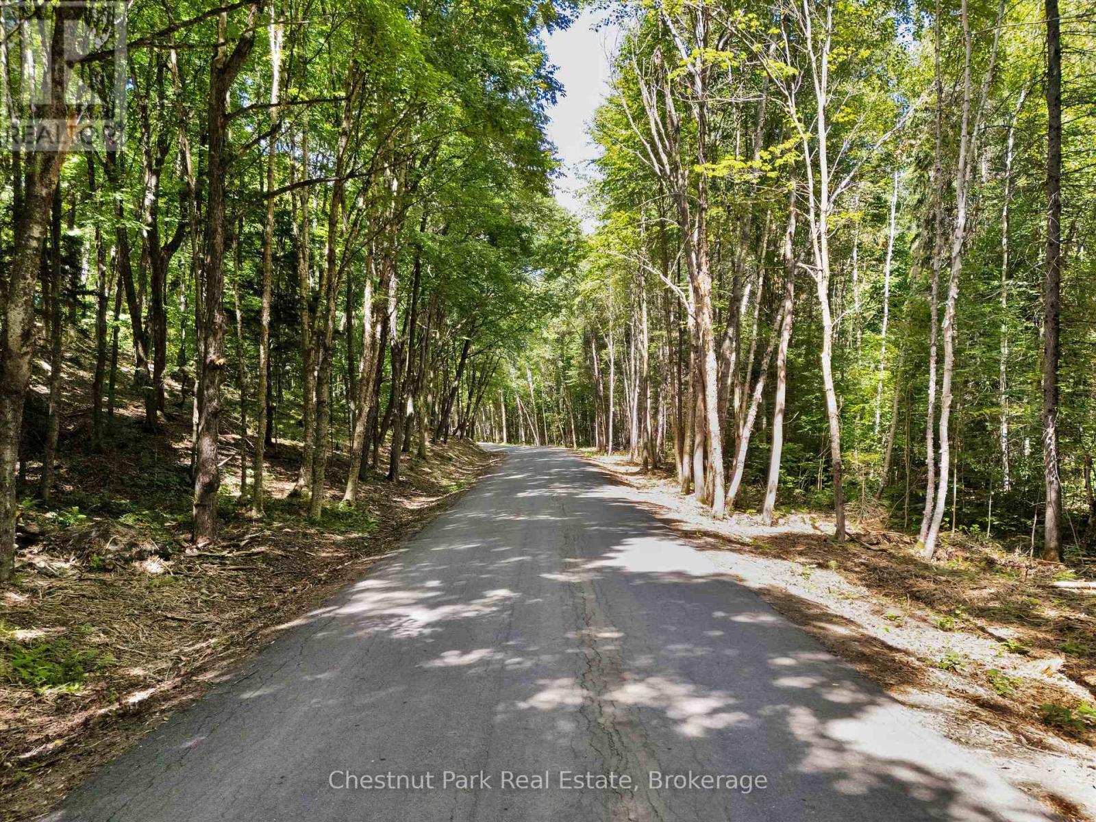 0 Nithgrove Road, Lake Of Bays, Ontario  P0B 1A0 - Photo 3 - X12876786