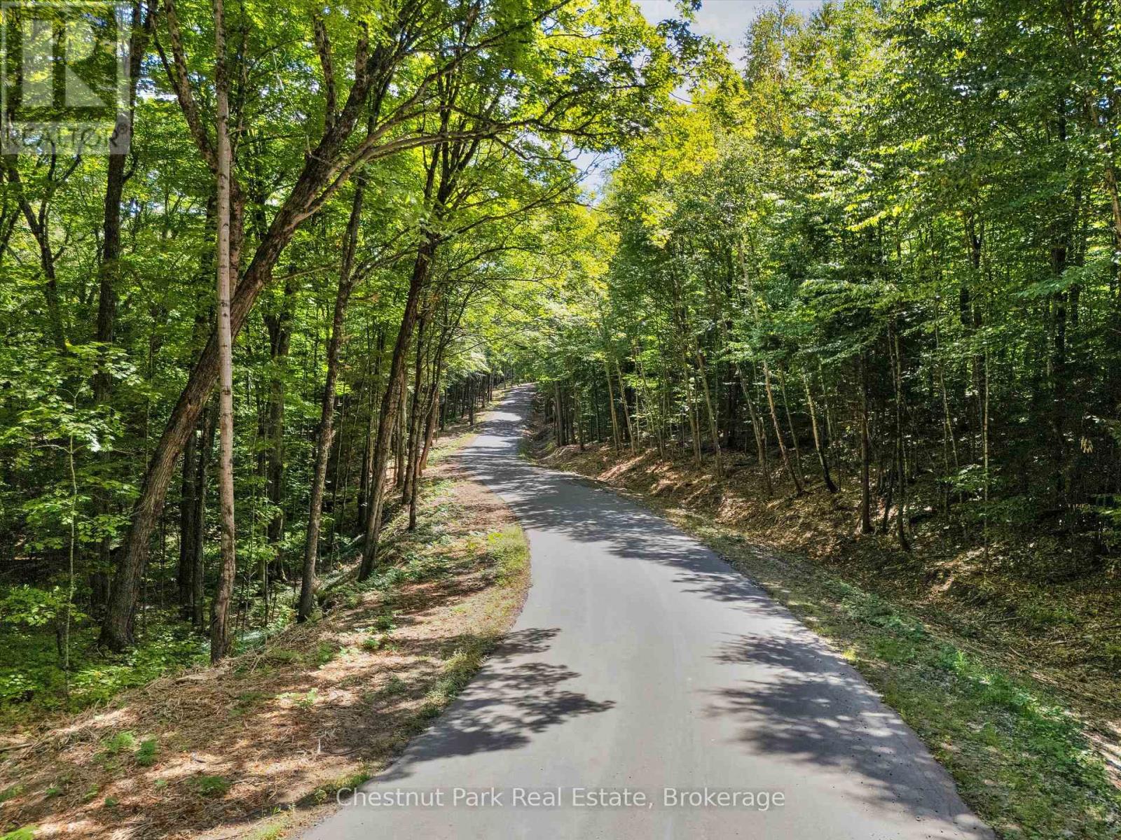 0 Nithgrove Road, Lake Of Bays, Ontario  P0B 1A0 - Photo 4 - X12876786