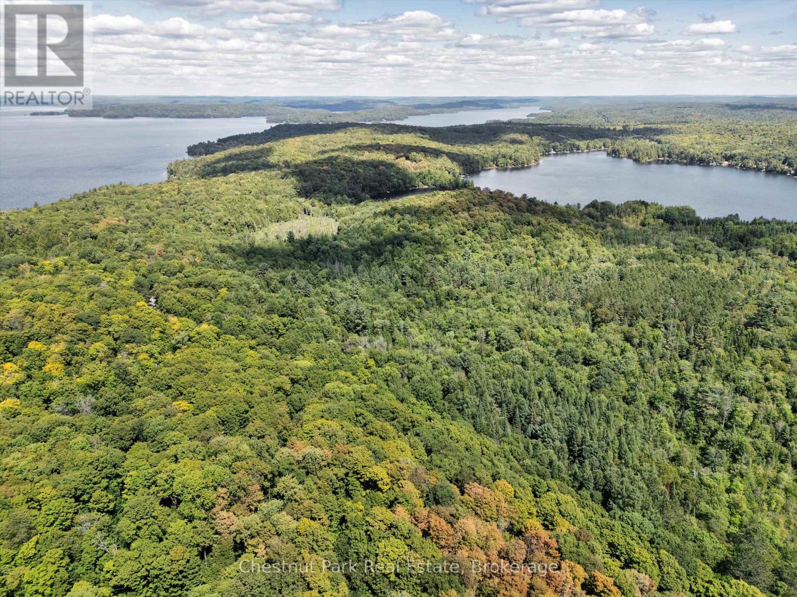 0 Nithgrove Road, Lake Of Bays, Ontario  P0B 1A0 - Photo 5 - X12876786