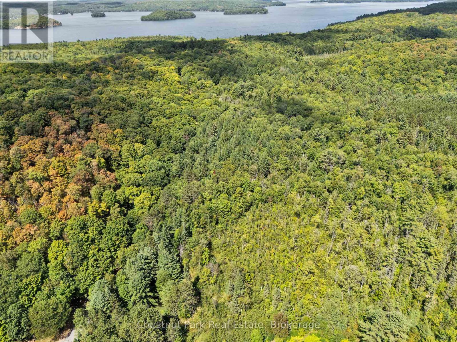 0 Nithgrove Road, Lake Of Bays, Ontario  P0B 1A0 - Photo 9 - X12876786