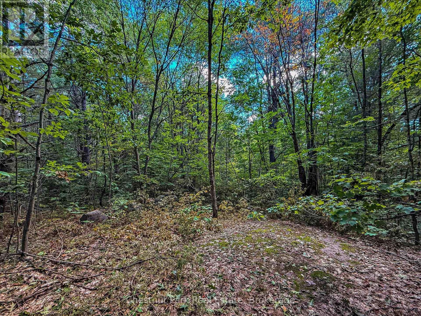 0 Langford Road, Lake Of Bays (Mclean), Ontario  P0B 1A0 - Photo 5 - X12876796