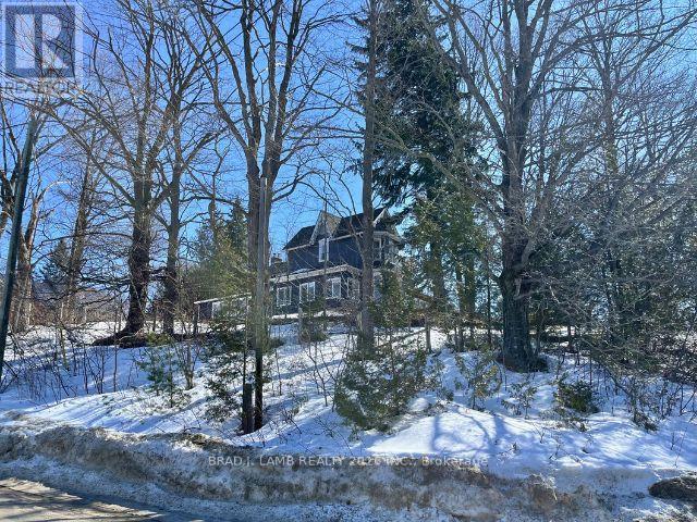 2 High Street E, Melancthon, Ontario  L0N 1J0 - Photo 4 - X12876834