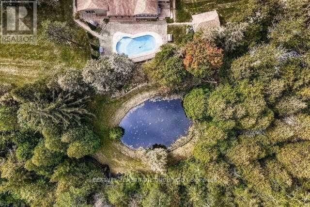 7670 19th Side Road, King, Ontario  L0G 1T0 - Photo 12 - N12873532