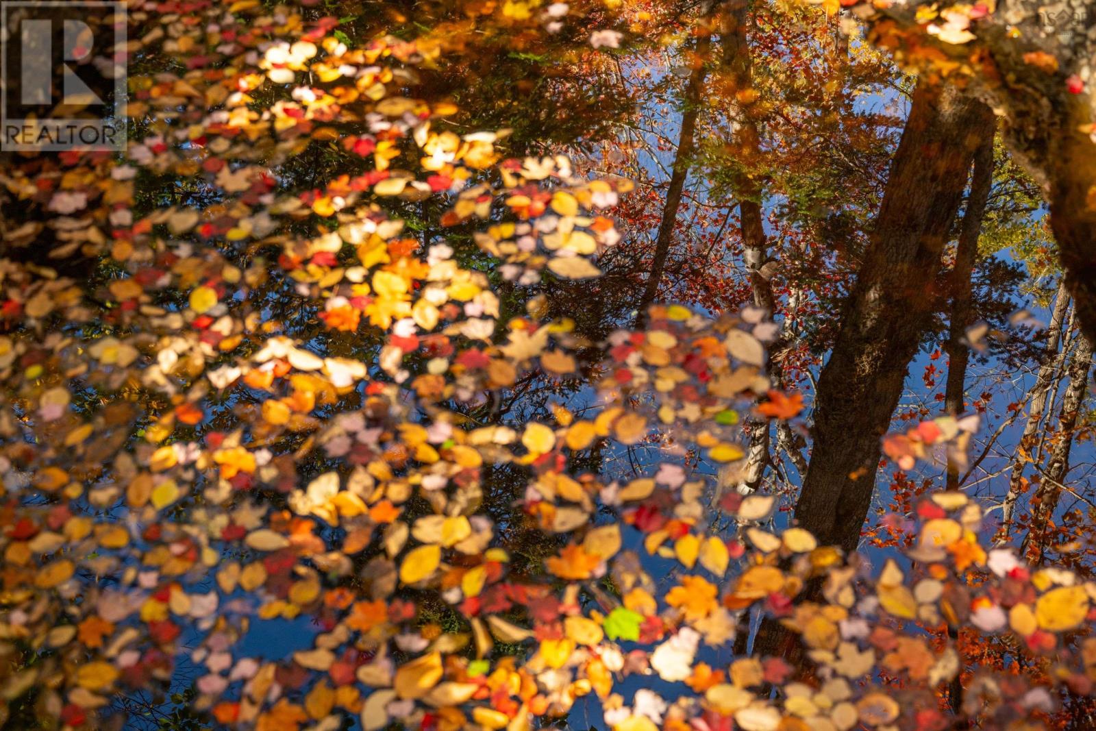 Lot 9 Little Deer Lane, Chester Basin, Nova Scotia  B0J 1K0 - Photo 19 - 202604456