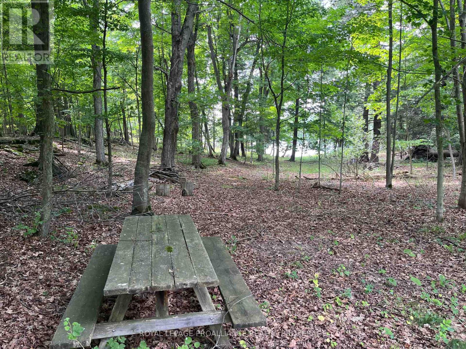 Pt Lt 6-7 16th Line Road, Frontenac Islands (The Islands), Ontario  K0H 2Y0 - Photo 13 - X12876946