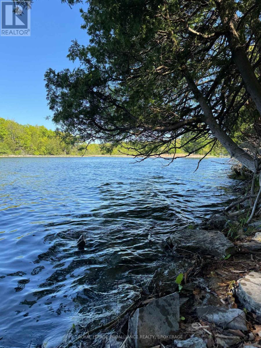 Pt Lt 6-7 16th Line Road, Frontenac Islands (The Islands), Ontario  K0H 2Y0 - Photo 7 - X12876946