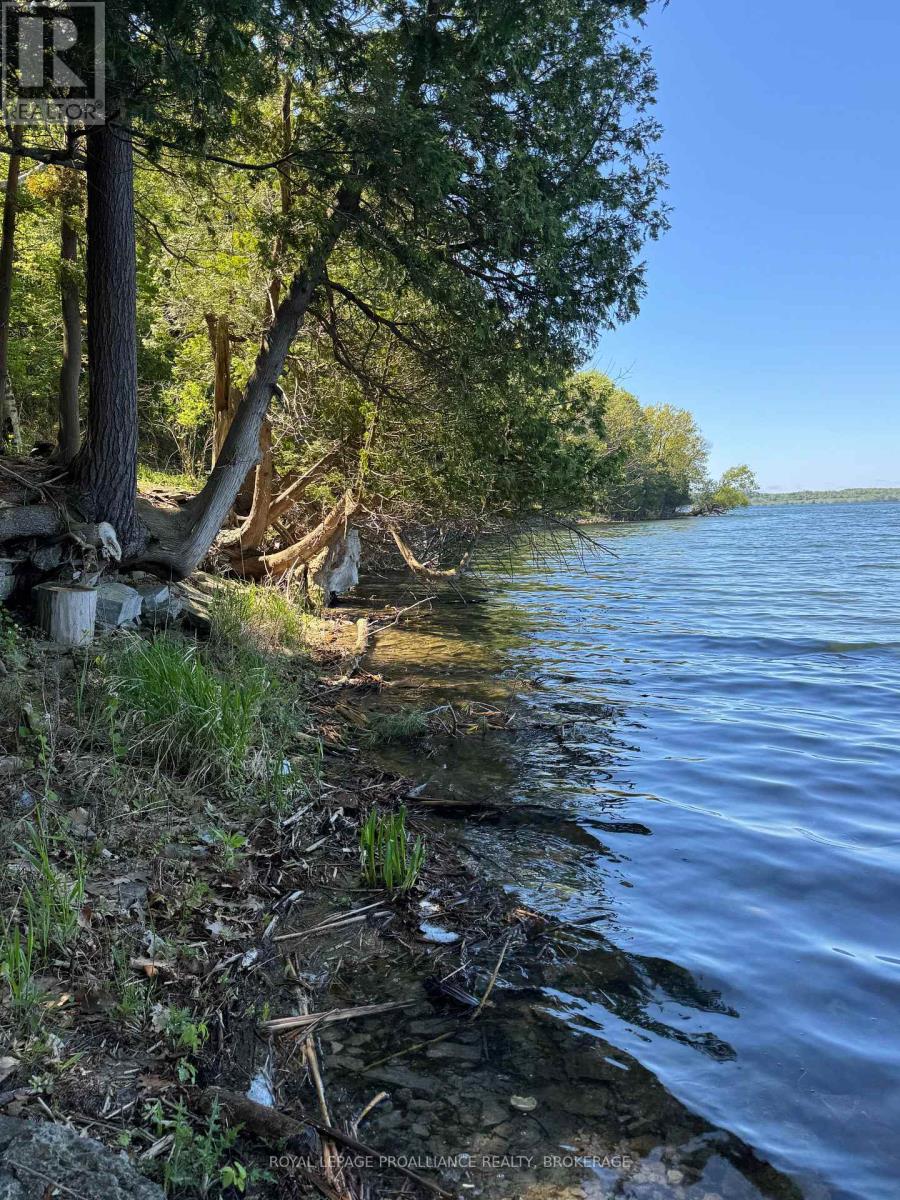Pt Lt 6-7 16th Line Road, Frontenac Islands (The Islands), Ontario  K0H 2Y0 - Photo 8 - X12876946