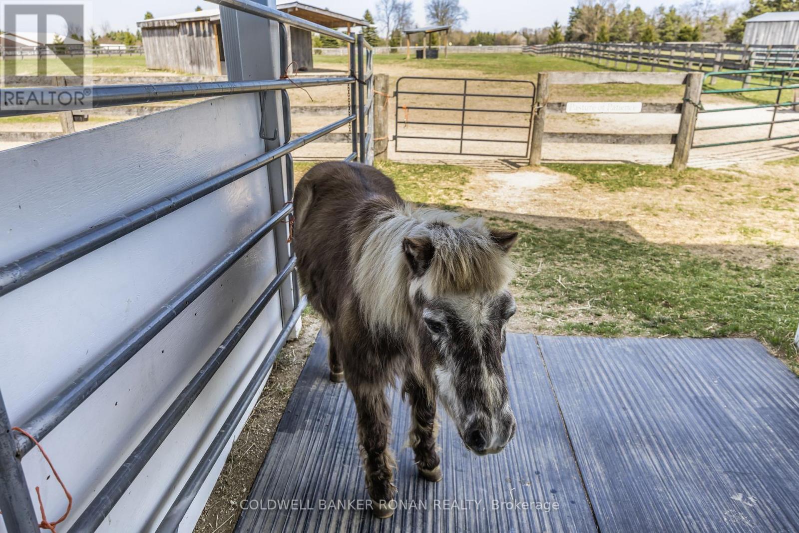 8058 20th Side Road, Adjala-Tosorontio, Ontario  L0G 1L0 - Photo 37 - N12876938