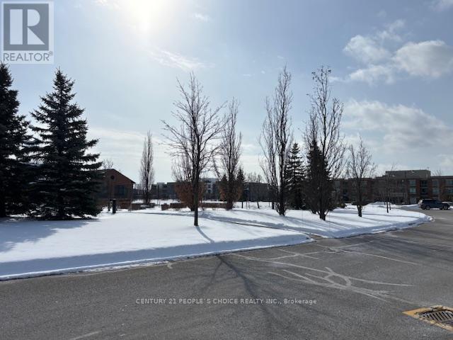 211 - 65 Via Rosedale, Brampton (Sandringham-Wellington), Ontario  L6R 3N8 - Photo 18 - W12877032