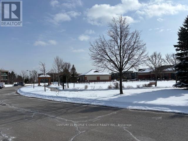 211 - 65 Via Rosedale, Brampton (Sandringham-Wellington), Ontario  L6R 3N8 - Photo 19 - W12877032