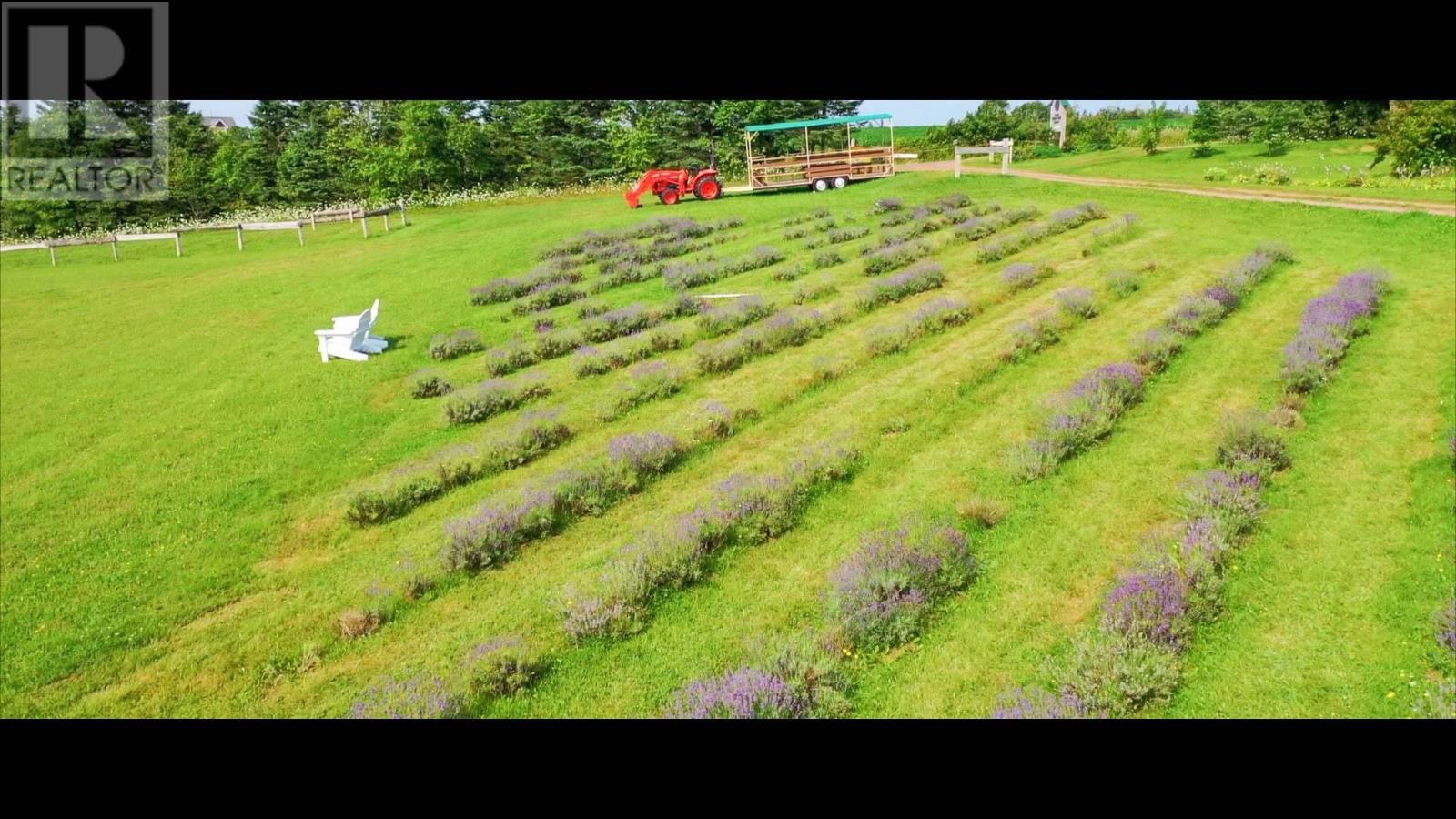 820 Millboro Road, Wheatley River, Prince Edward Island  C0A 1N0 - Photo 7 - 202604457