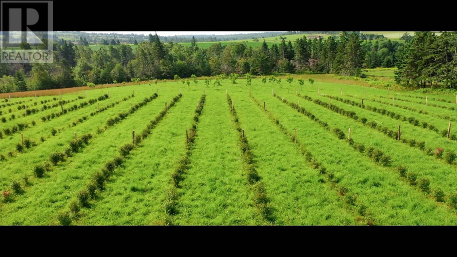 820 Millboro Road, Wheatley River, Prince Edward Island  C0A 1N0 - Photo 8 - 202604457