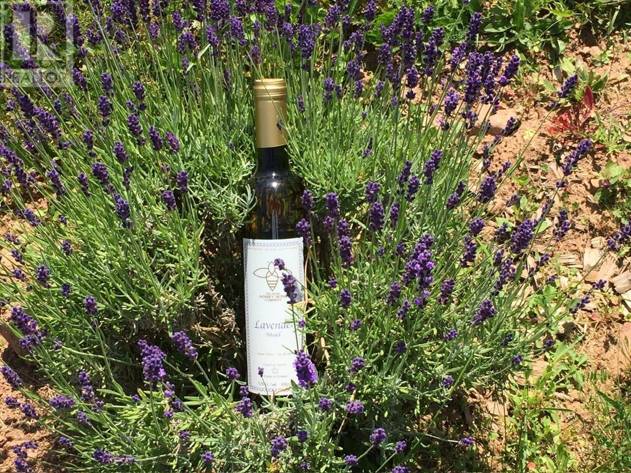 820 Millboro Road, Wheatley River, Prince Edward Island  C0A 1N0 - Photo 44 - 202604461