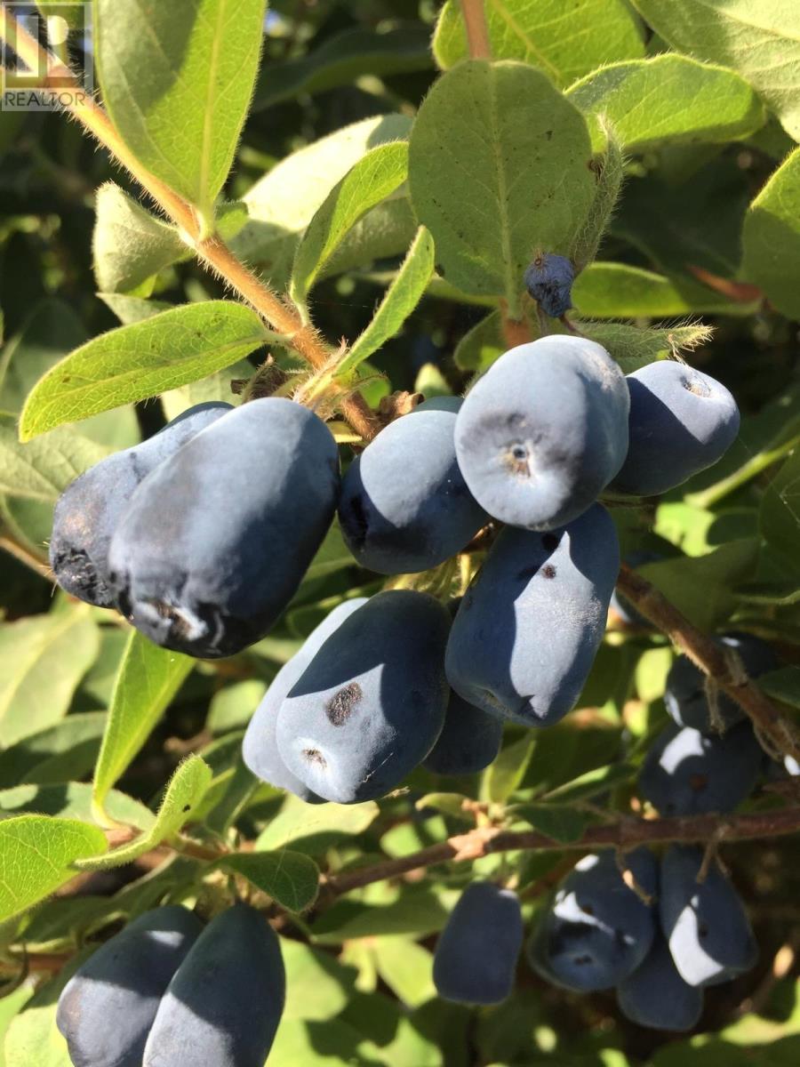 820 Millboro Road, Wheatley River, Prince Edward Island  C0A 1N0 - Photo 49 - 202604461