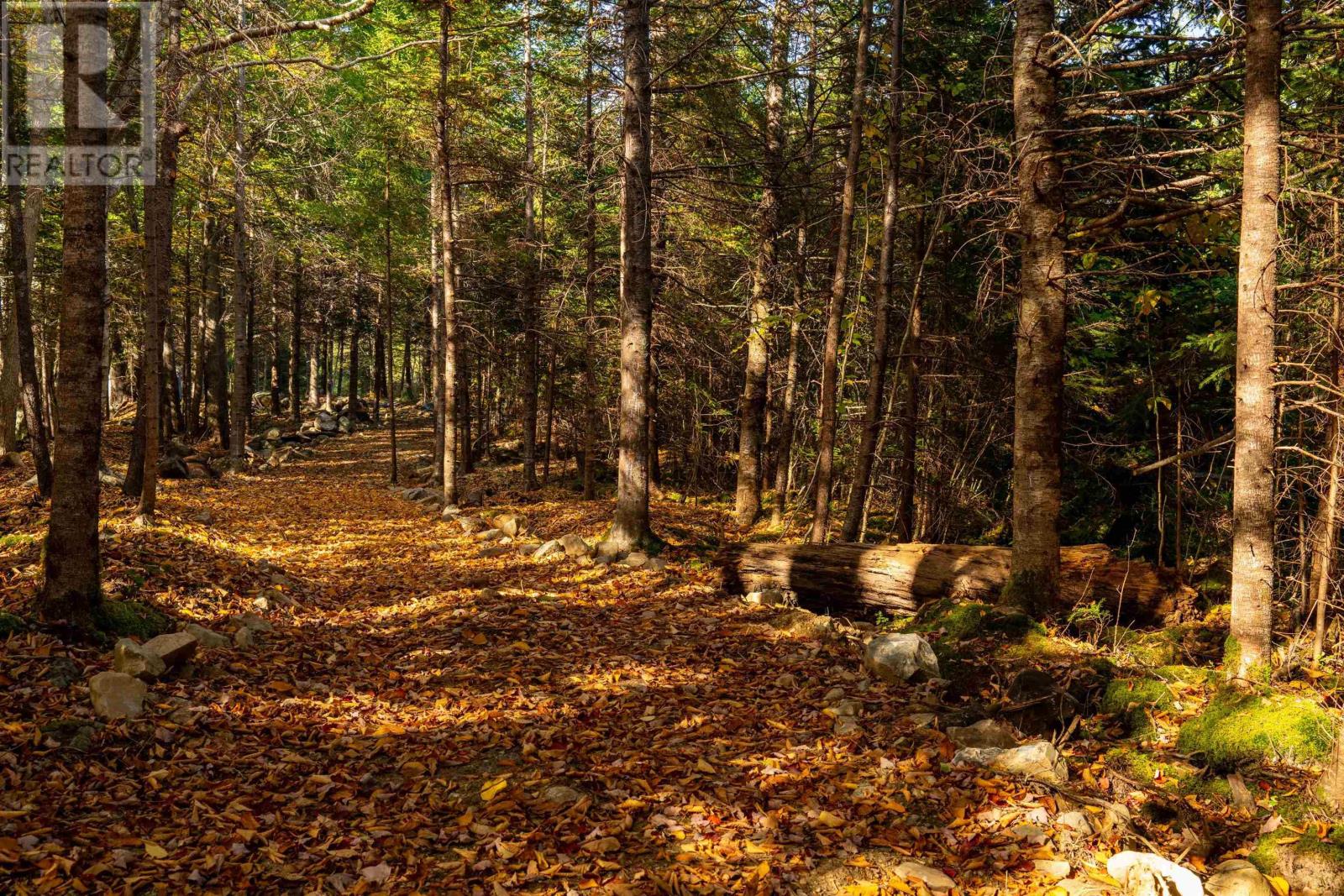 Lot 10 Little Deer Lane, Chester Basin, Nova Scotia  B0J 1K0 - Photo 17 - 202604458
