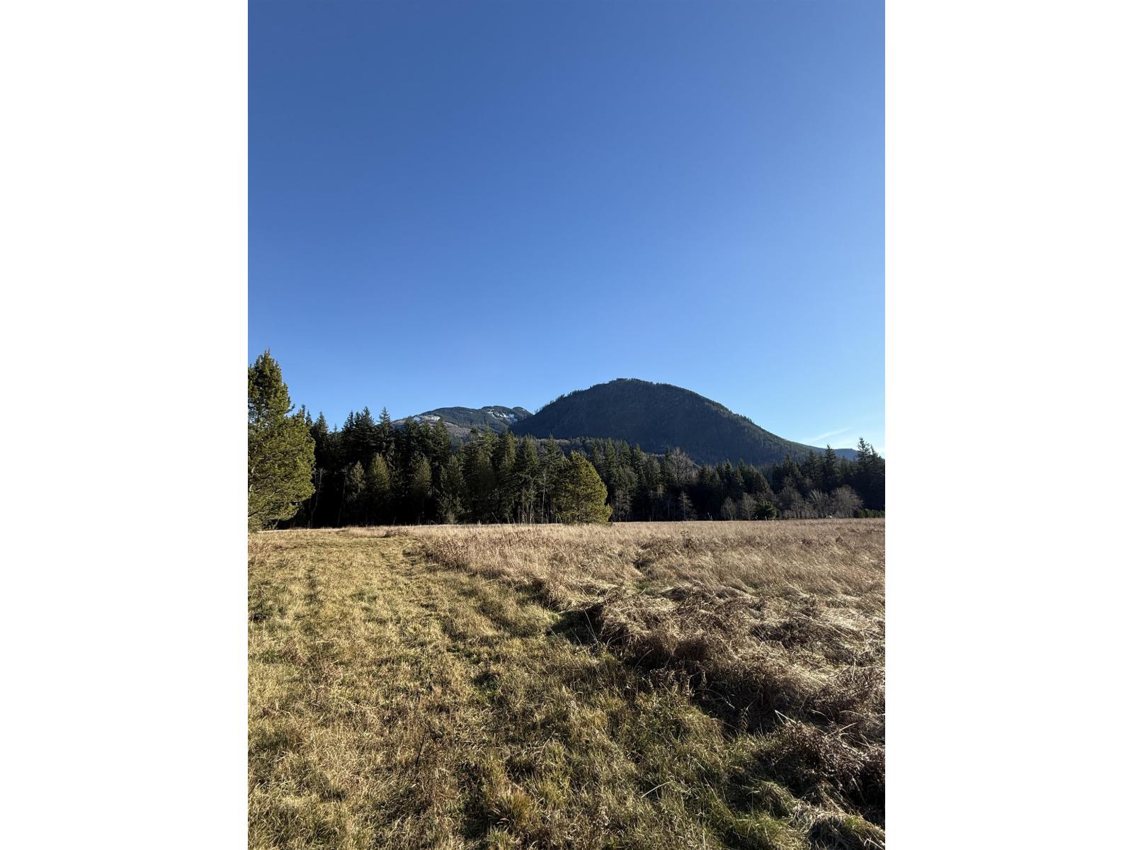 290 Colter Road, Columbia Valley, Columbia Valley, British Columbia  V2R 5B8 - Photo 12 - R3098324