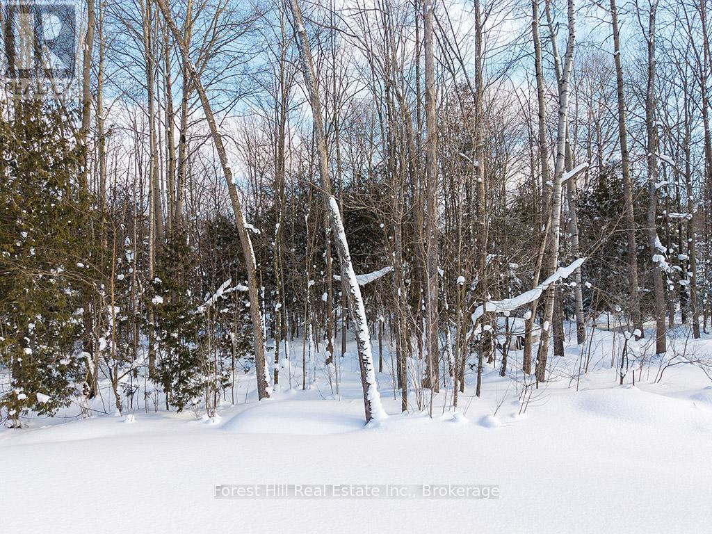 634341 Artemesia Glenelg Townline, Grey Highlands, Ontario  N0C 1H0 - Photo 15 - X12771362