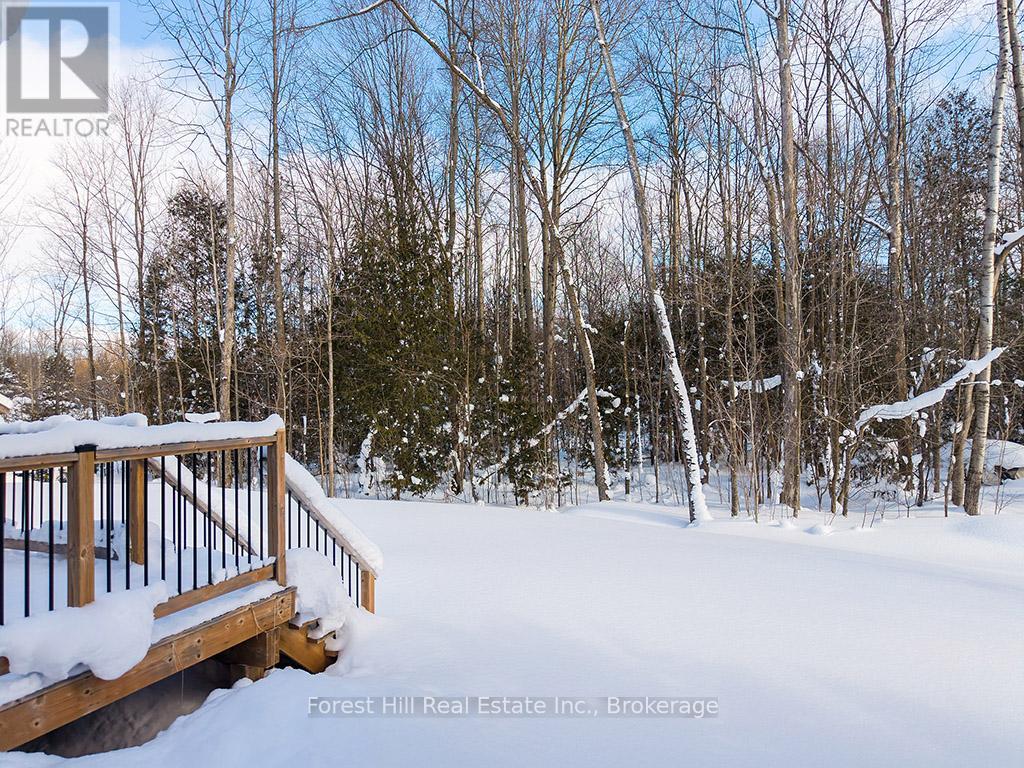 634341 Artemesia Glenelg Townline, Grey Highlands, Ontario  N0C 1H0 - Photo 17 - X12771362