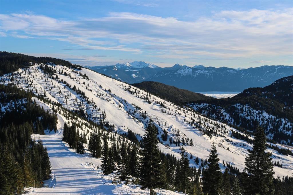 47065 Snowmist Drive, Mission, British Columbia  V0M 1A1 - Photo 16 - R3094302