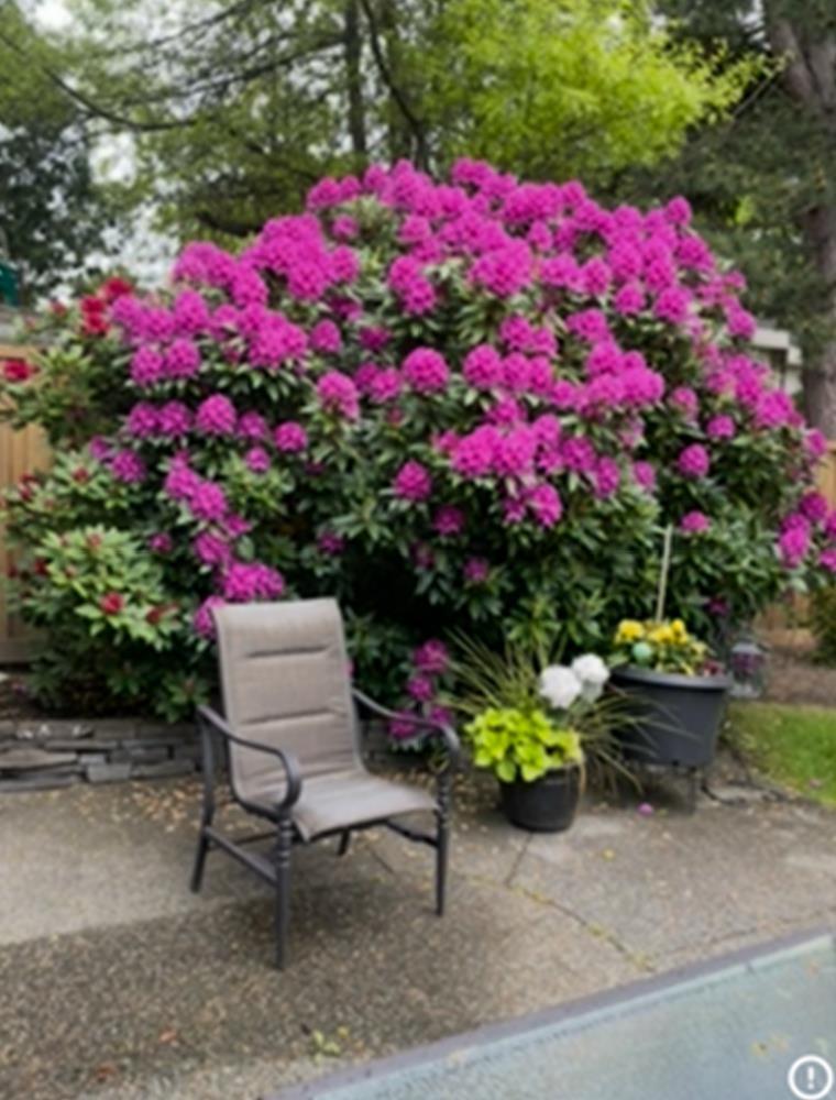 4 12945 17 Avenue, Surrey, British Columbia  V4A 8T7 - Photo 39 - R3096059