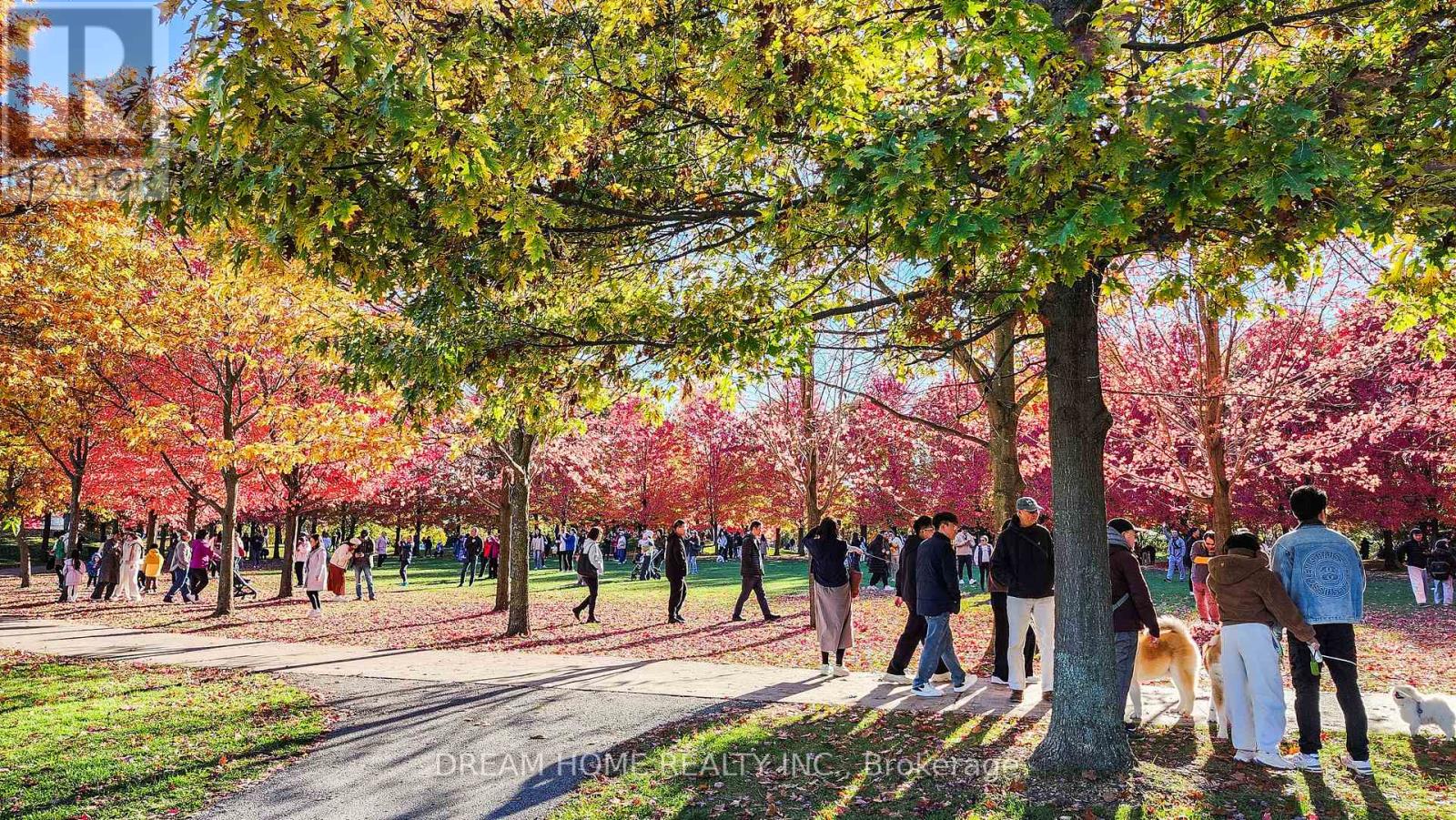 269 Helen Avenue, Markham, Ontario  L3R 1J9 - Photo 38 - N12877130