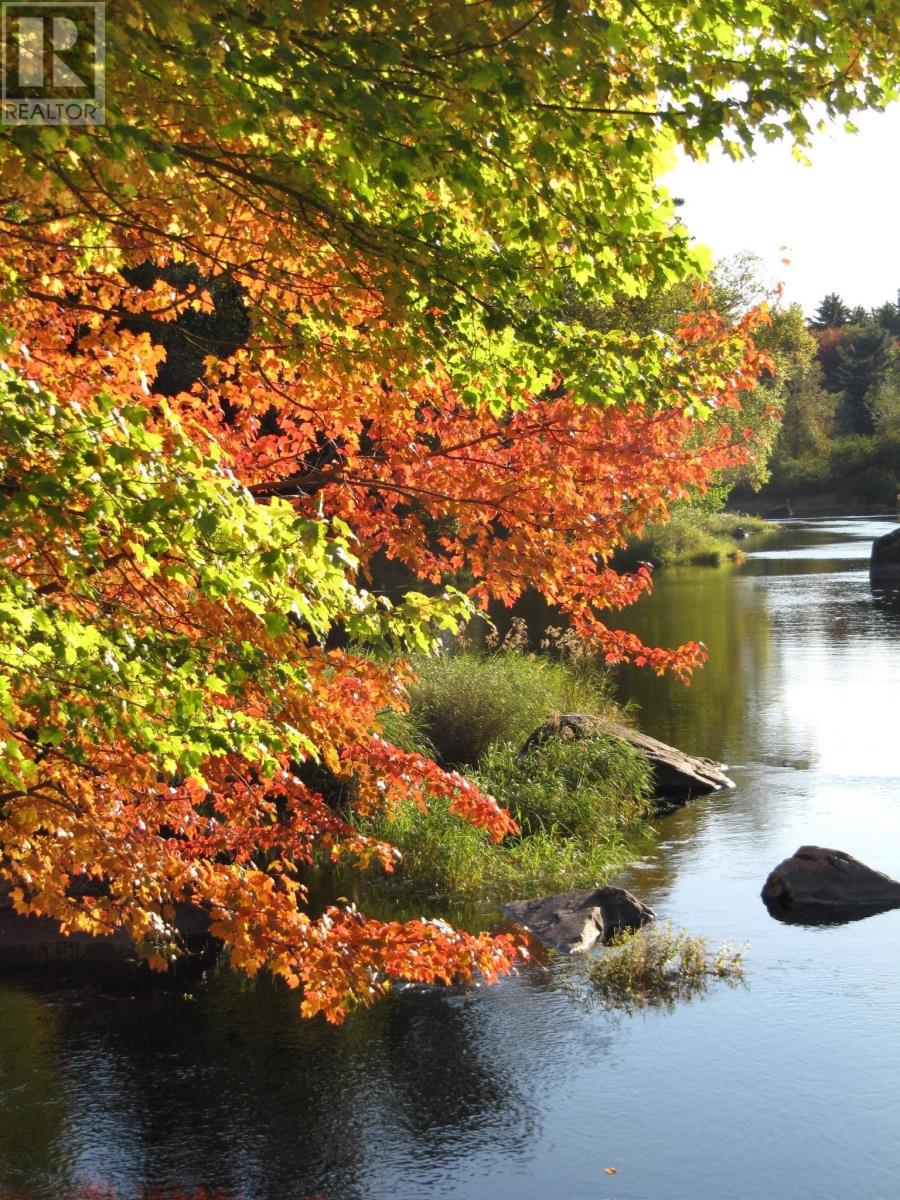 Lots (Pid 70107644) Medway River Road, Riversdale, Nova Scotia  B0J 2H0 - Photo 7 - 202525863