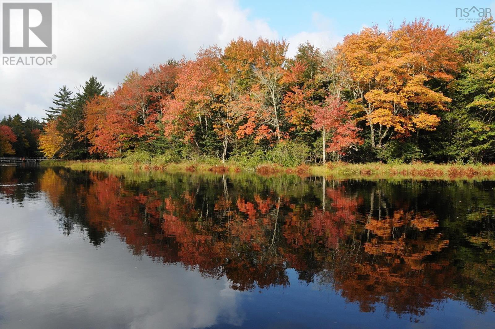 Lots (Pid 70107644) Medway River Road, Riversdale, Nova Scotia  B0J 2H0 - Photo 9 - 202525863
