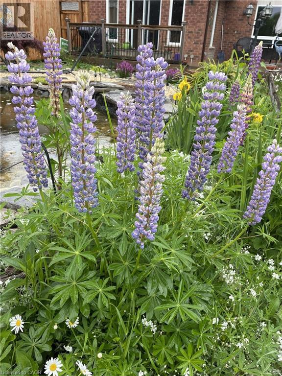 622 Doon South Drive, Kitchener, Ontario  N2P 2X4 - Photo 48 - 40810579