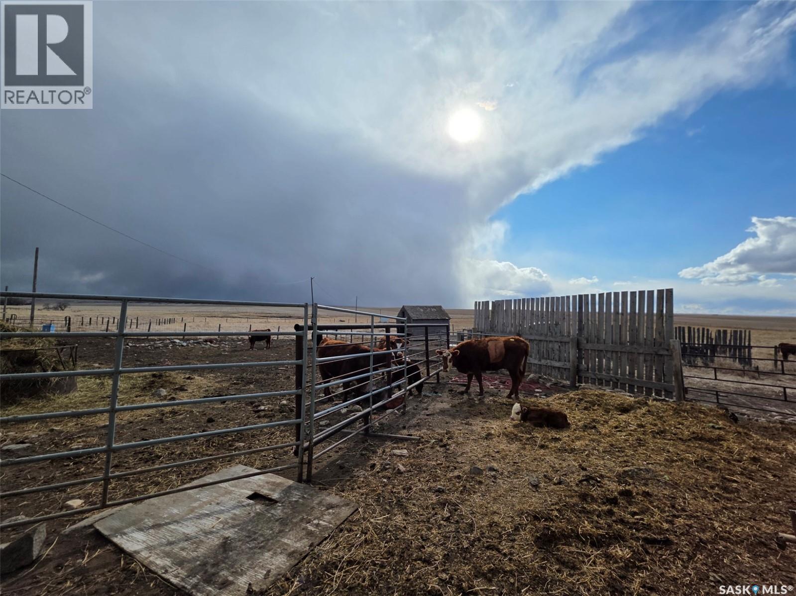 B&c Jones Acreage, Auvergne Rm No. 76, Saskatchewan  S0N 1Z0 - Photo 35 - SK030303