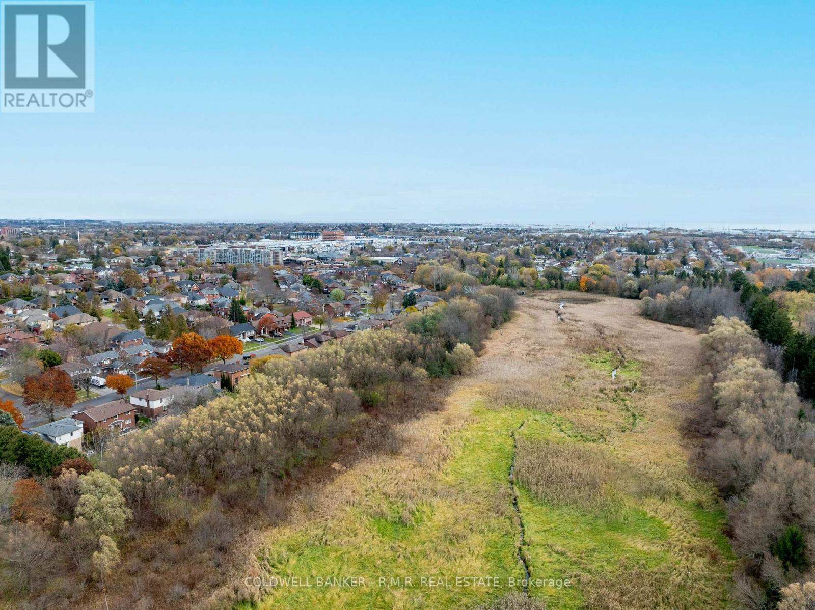 118 Waverly Street N, Oshawa (Mclaughlin), Ontario  L1J 8G5 - Photo 41 - E12877450