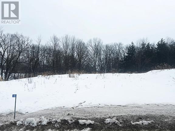 430 Beaver Road, Trent Hills, Ontario  K0K 1L0 - Photo 4 - X12877460