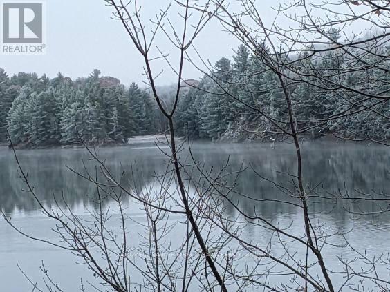 14b - 166 O'brien Lake Lane, Tay Valley, Ontario  K0H 2B0 - Photo 7 - X12877240
